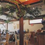 Canopy + the Roots Coffee