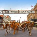 Fort Worth Stockyards