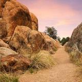Hiking Trails