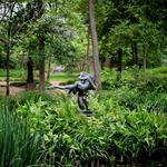 Umlauf Sculpture Garden & Museum