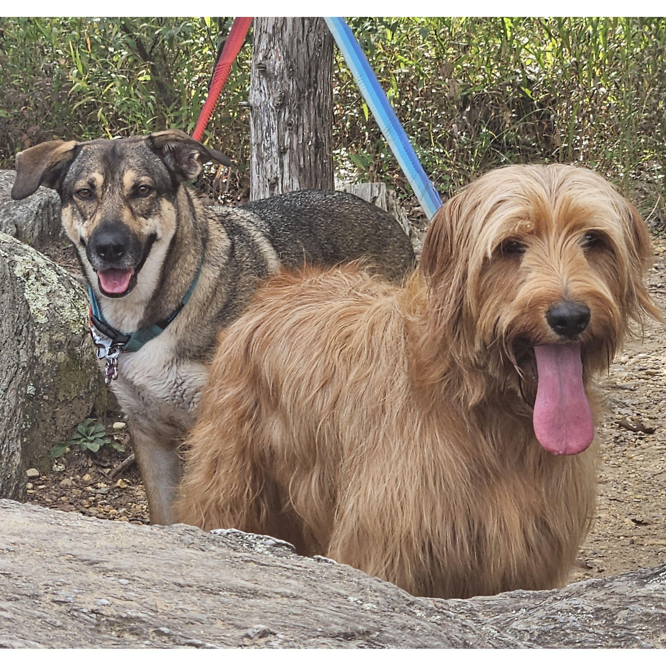 Hiking buddies