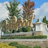 Dollywood