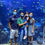Georgia Aquarium