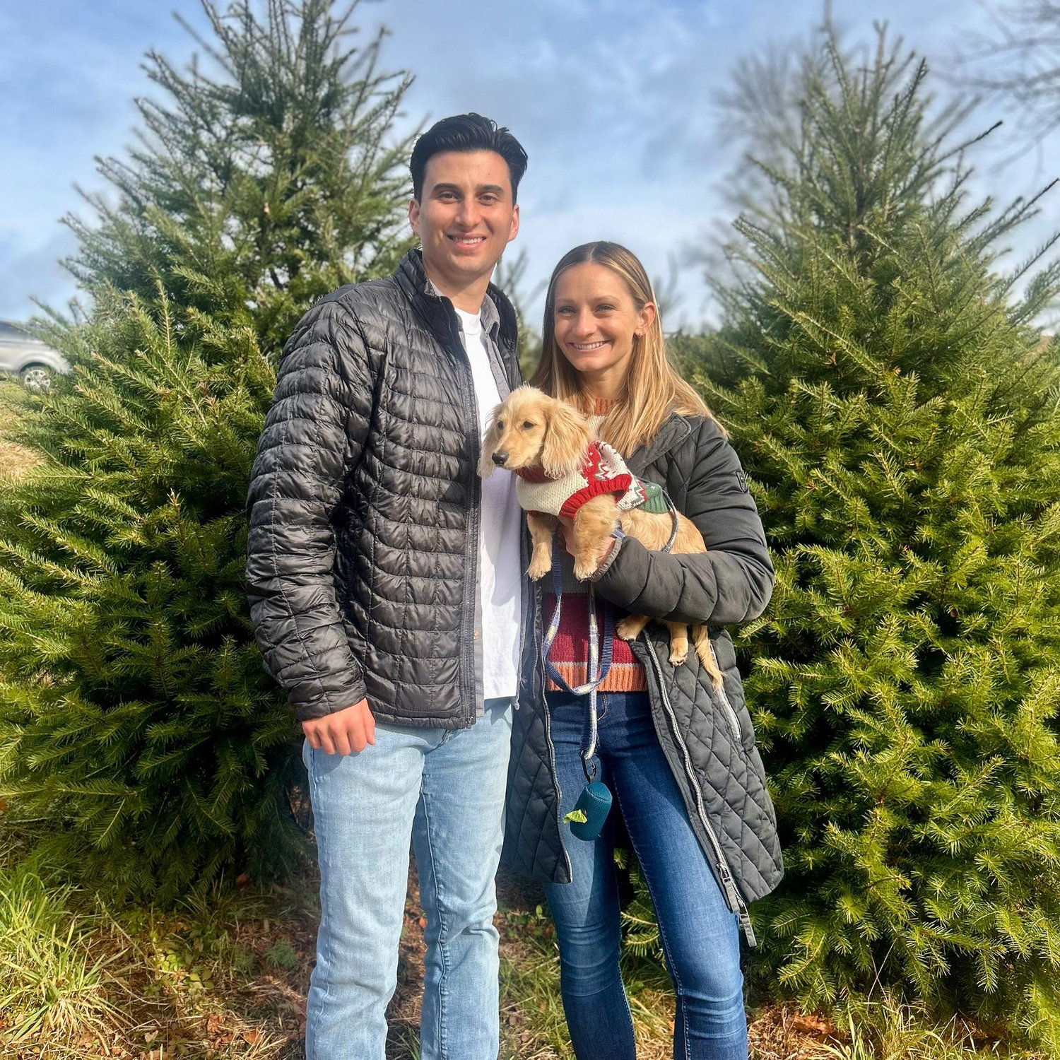 Tree Chopping 2023