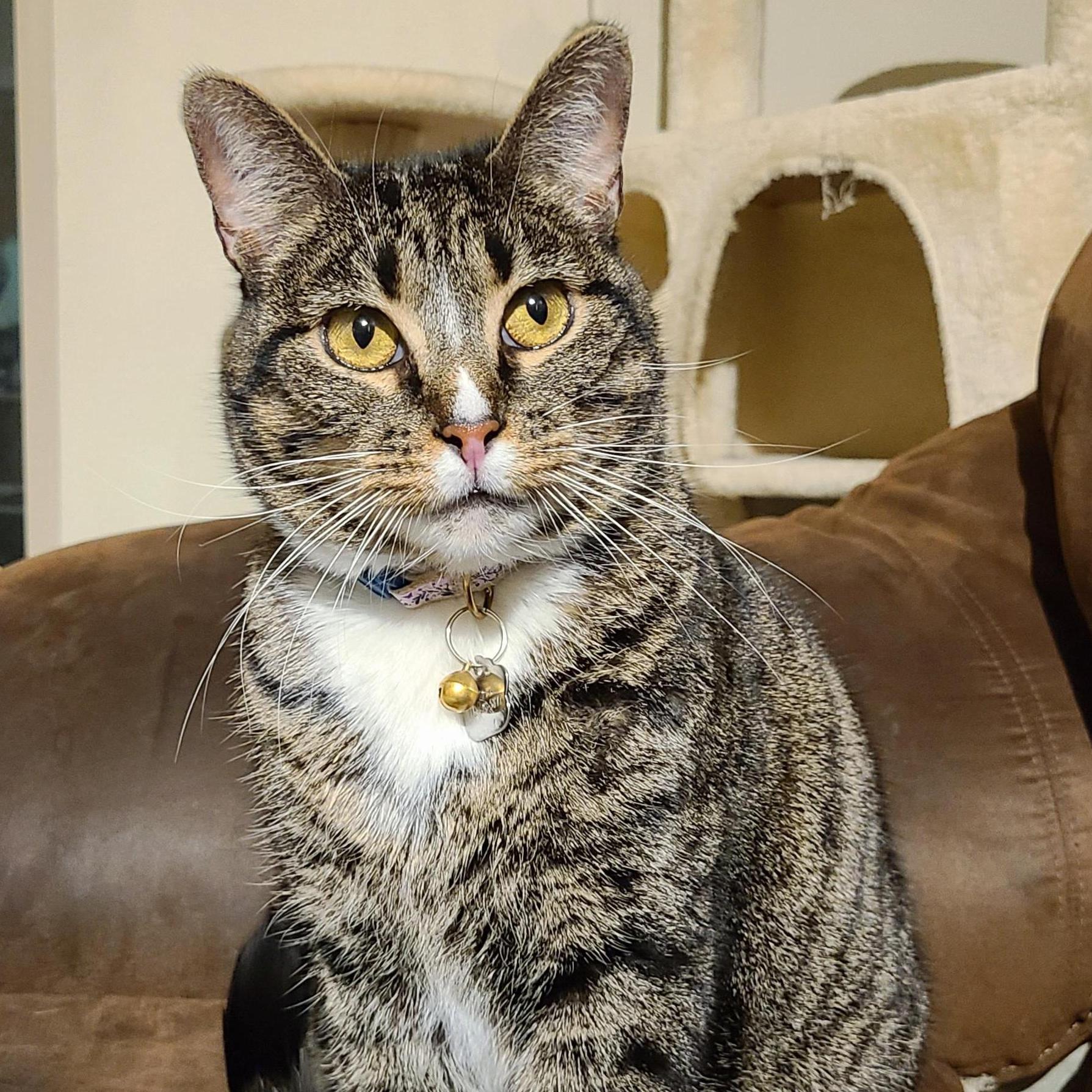 Stella!
