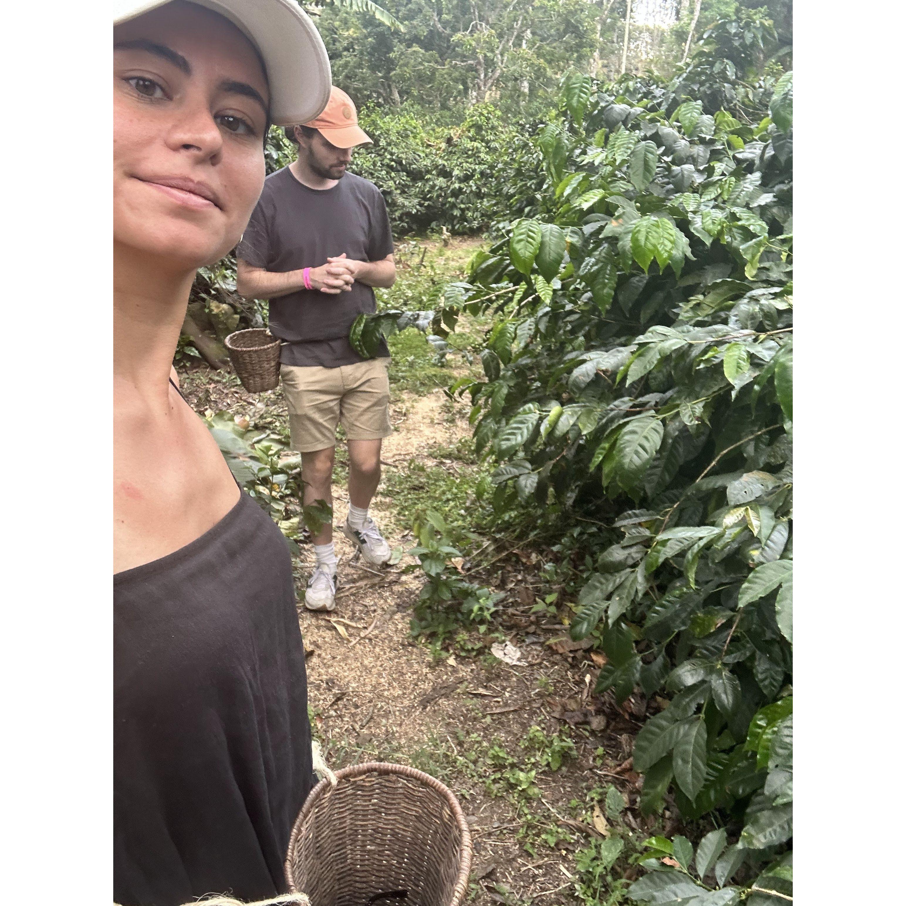 July 2023 — pretending to be coffee farmers in Colombia's coffee region