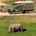 San Diego Zoo Safari Park