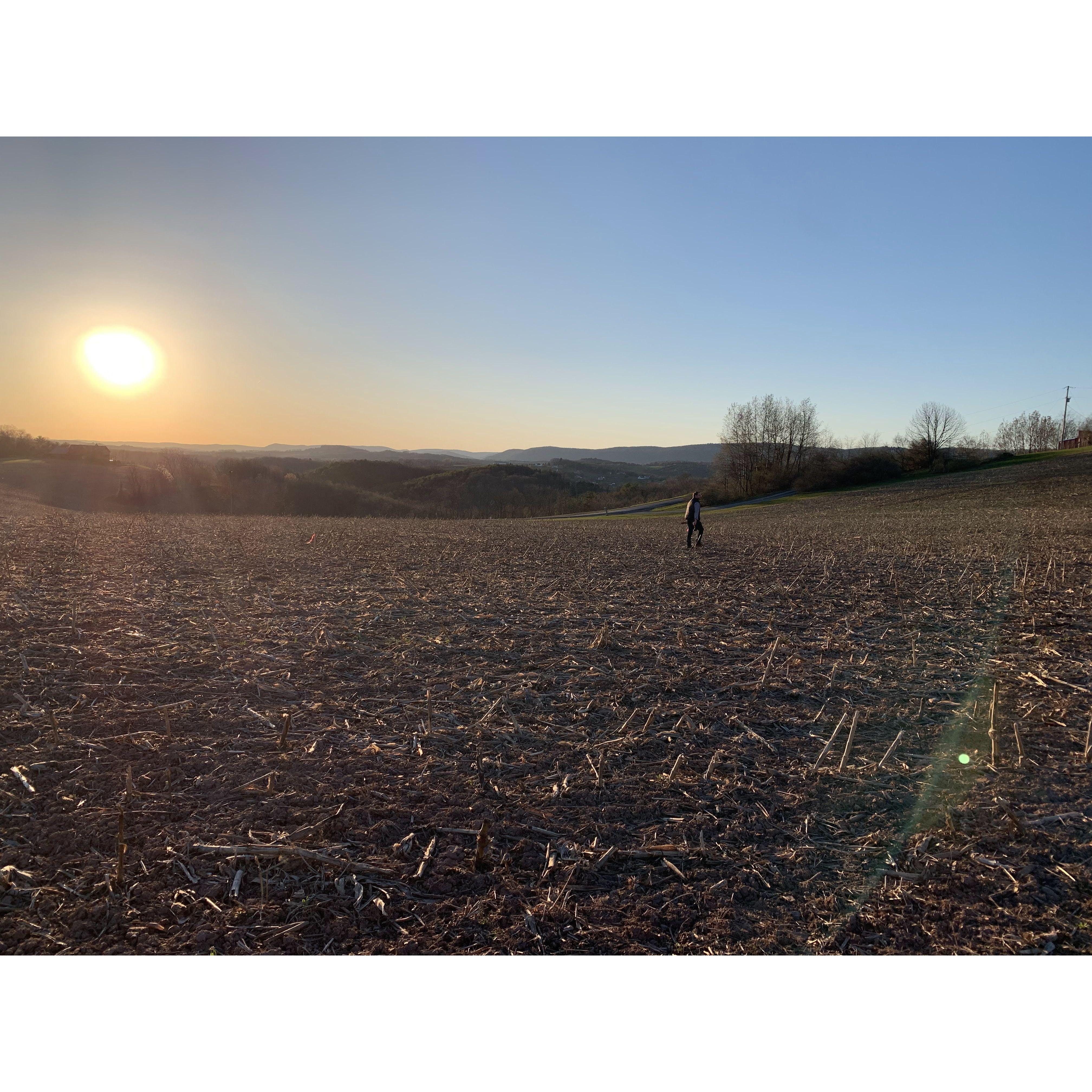Chad staking out a lawn for our ceremony and tent site in his corn field (April).