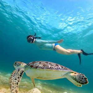 Snorkeling Honeymoon Excursion