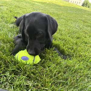 Training & Enrichment Fund