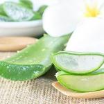 Spa & On-Site Activities