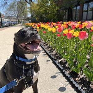 Our Finnie Fund