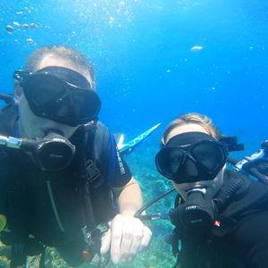 Honeymoon Scuba Diving Fund