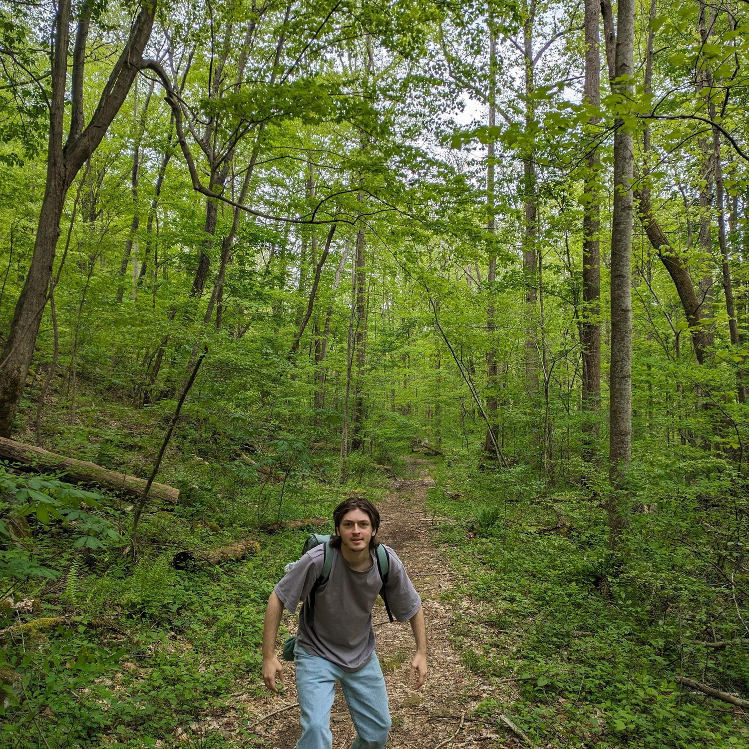 Jack getting ready to attack in New River Gorge National Park