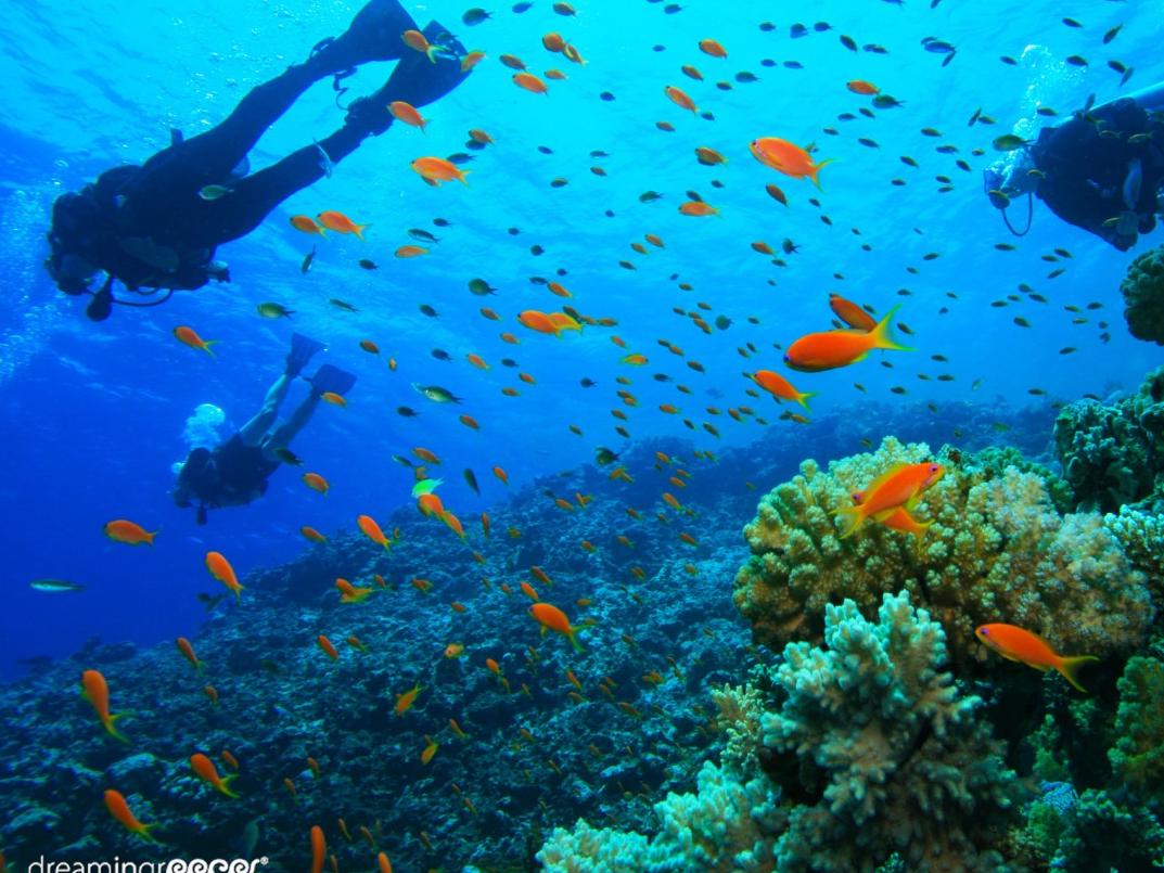 Scuba Diving in Greece