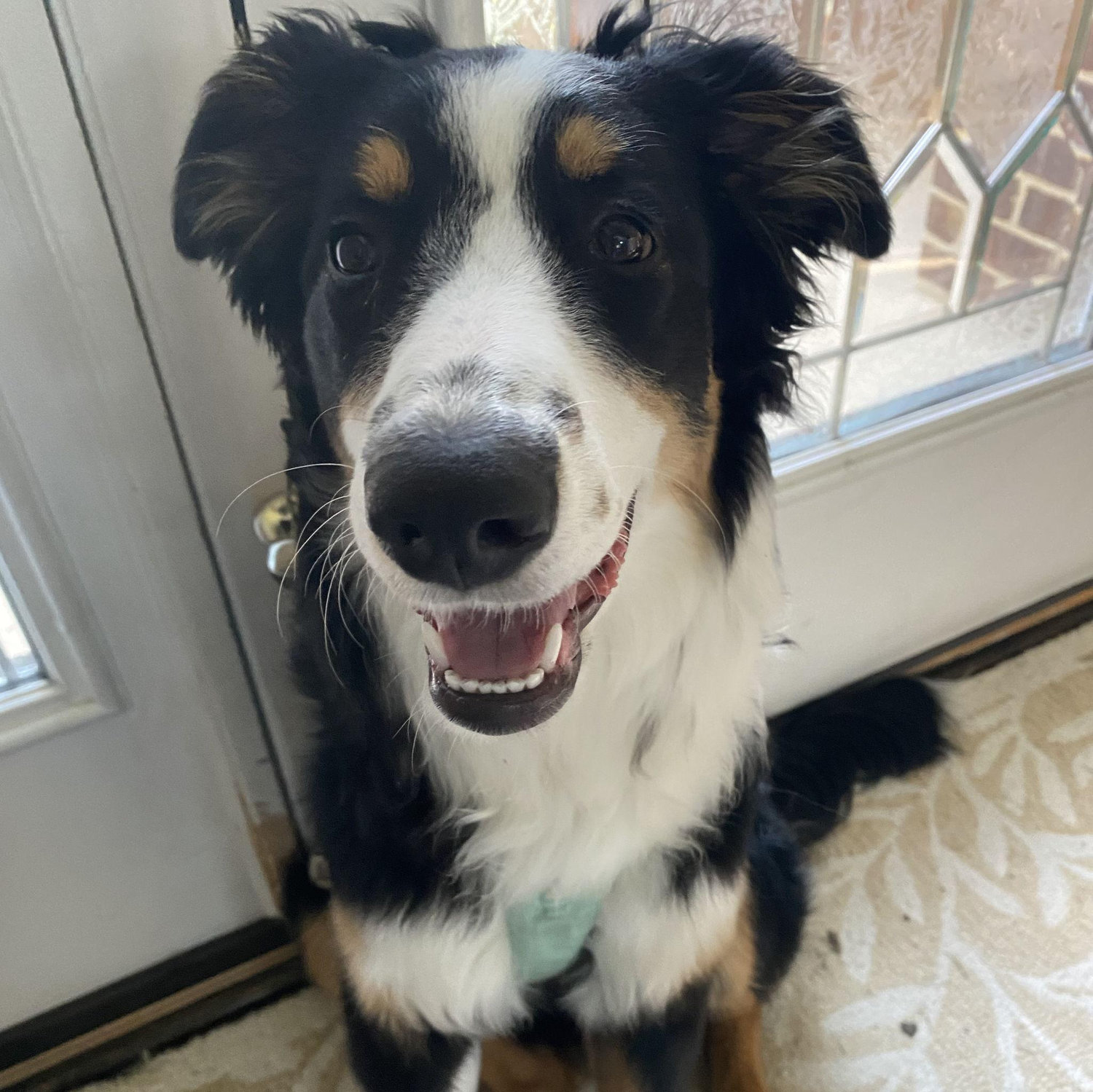Ari is excited that her parents will no longer be living in sin