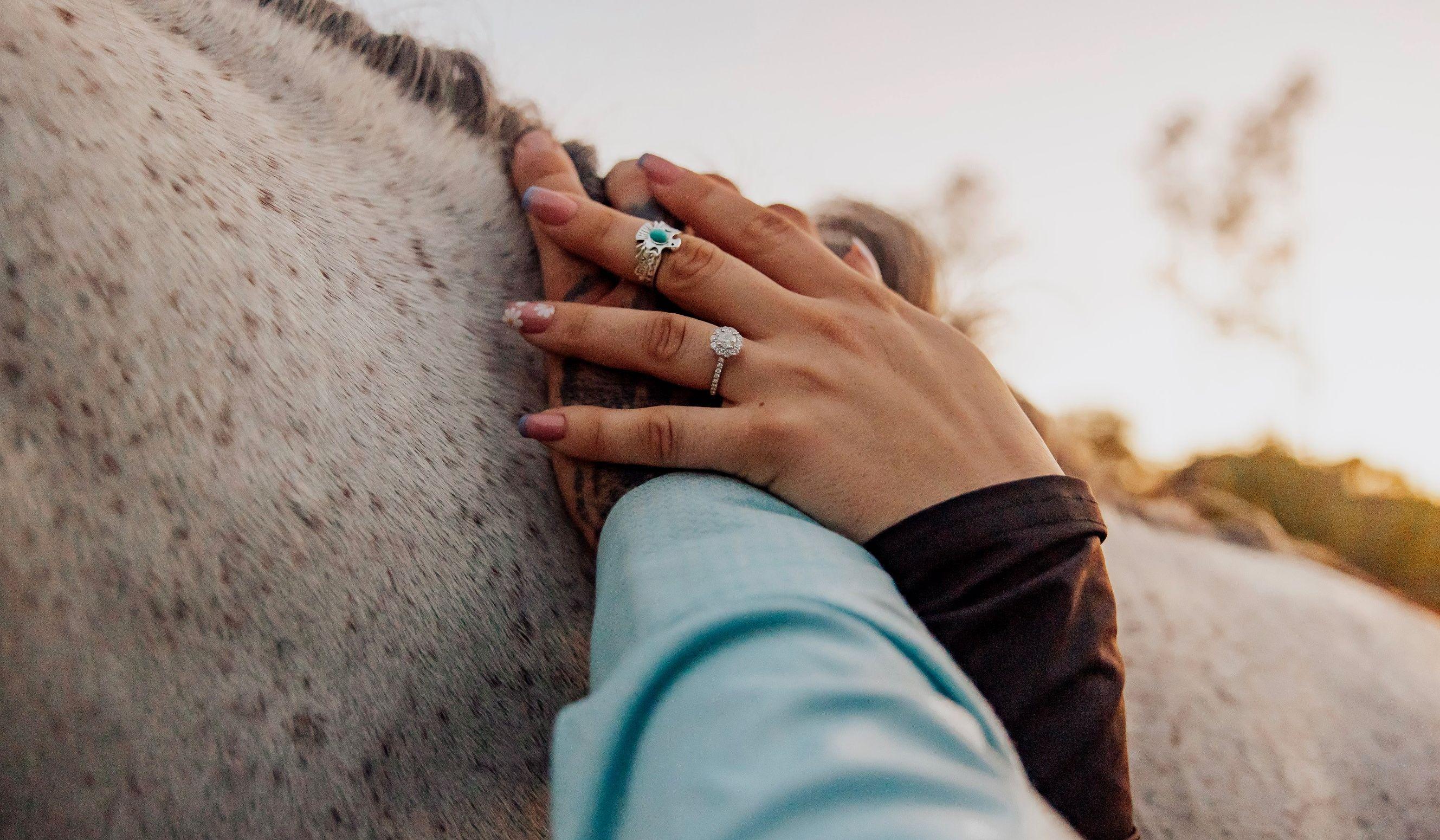 Hero Slideshow Image 2