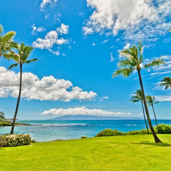 Hawaii Honeymoon Fund 🌺