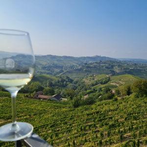 Wine Tasting in Italy