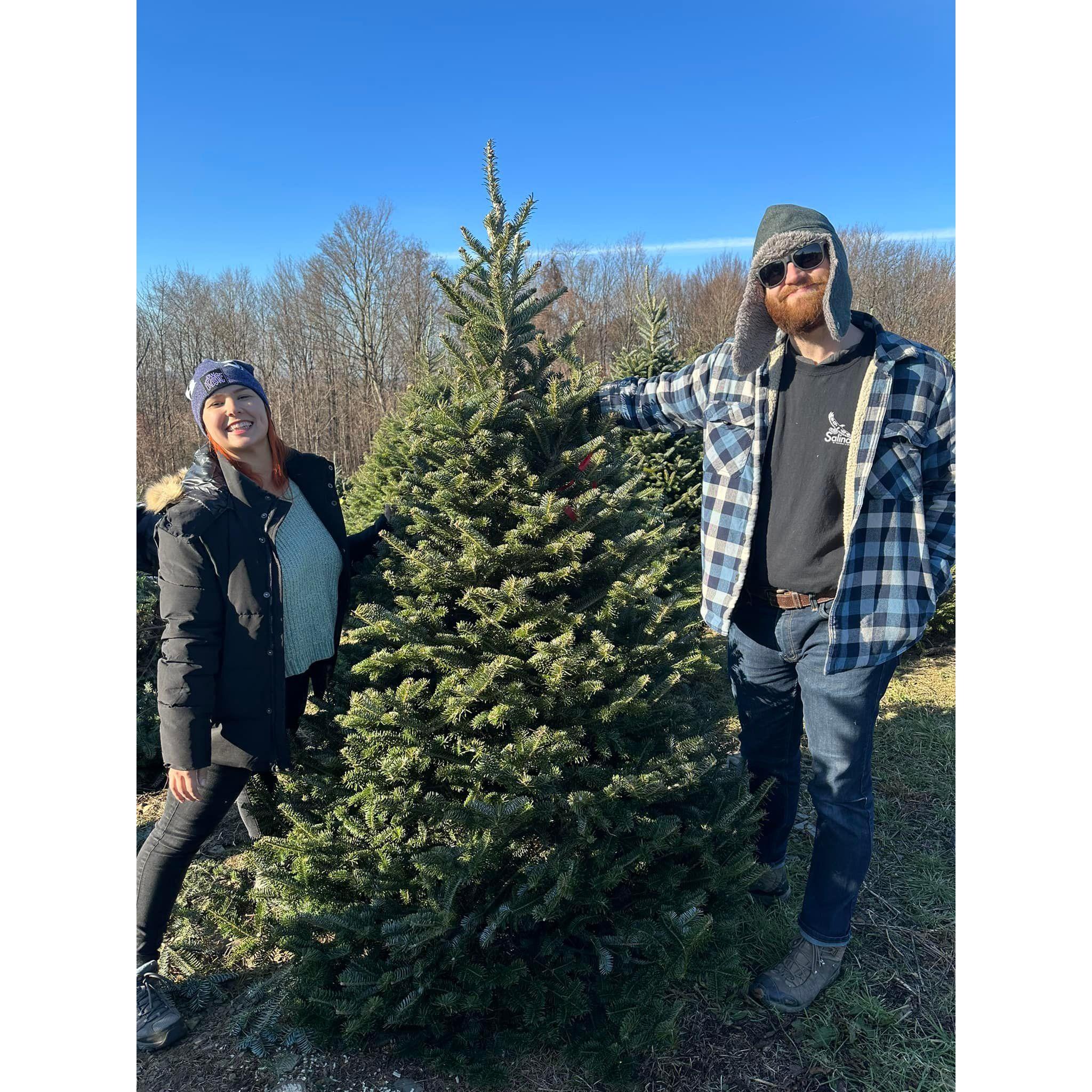 Cutting our own Christmas tree!