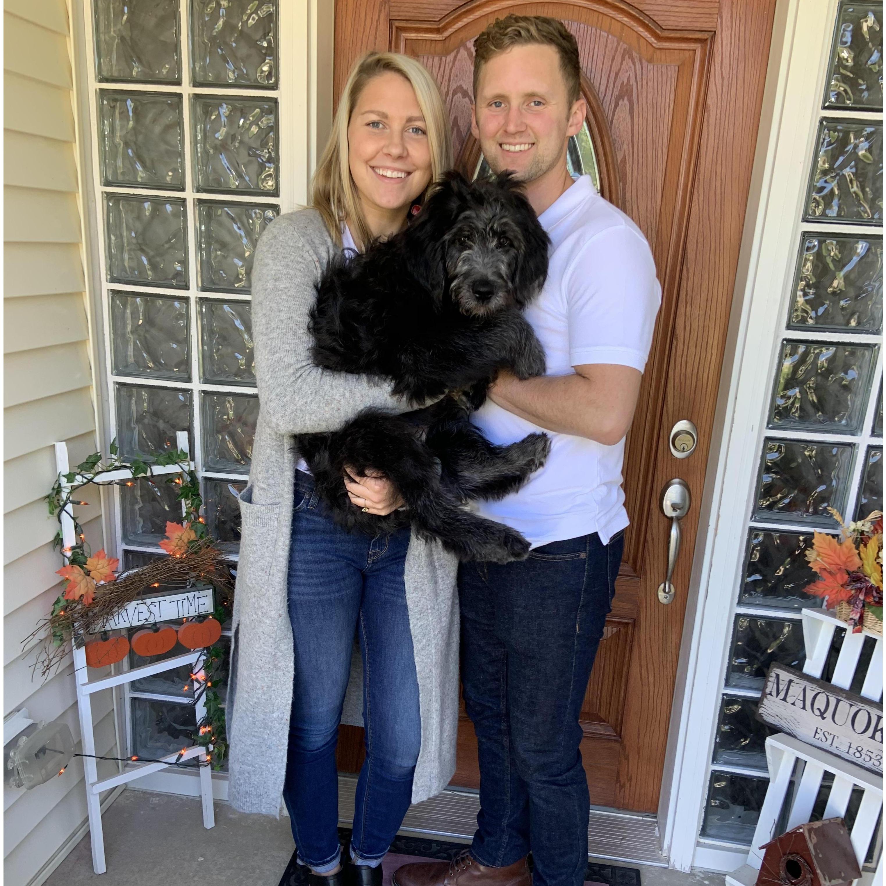 Adding to the family ~ meet Dunkin, our sweet, gentle, energetic goldendoodle.