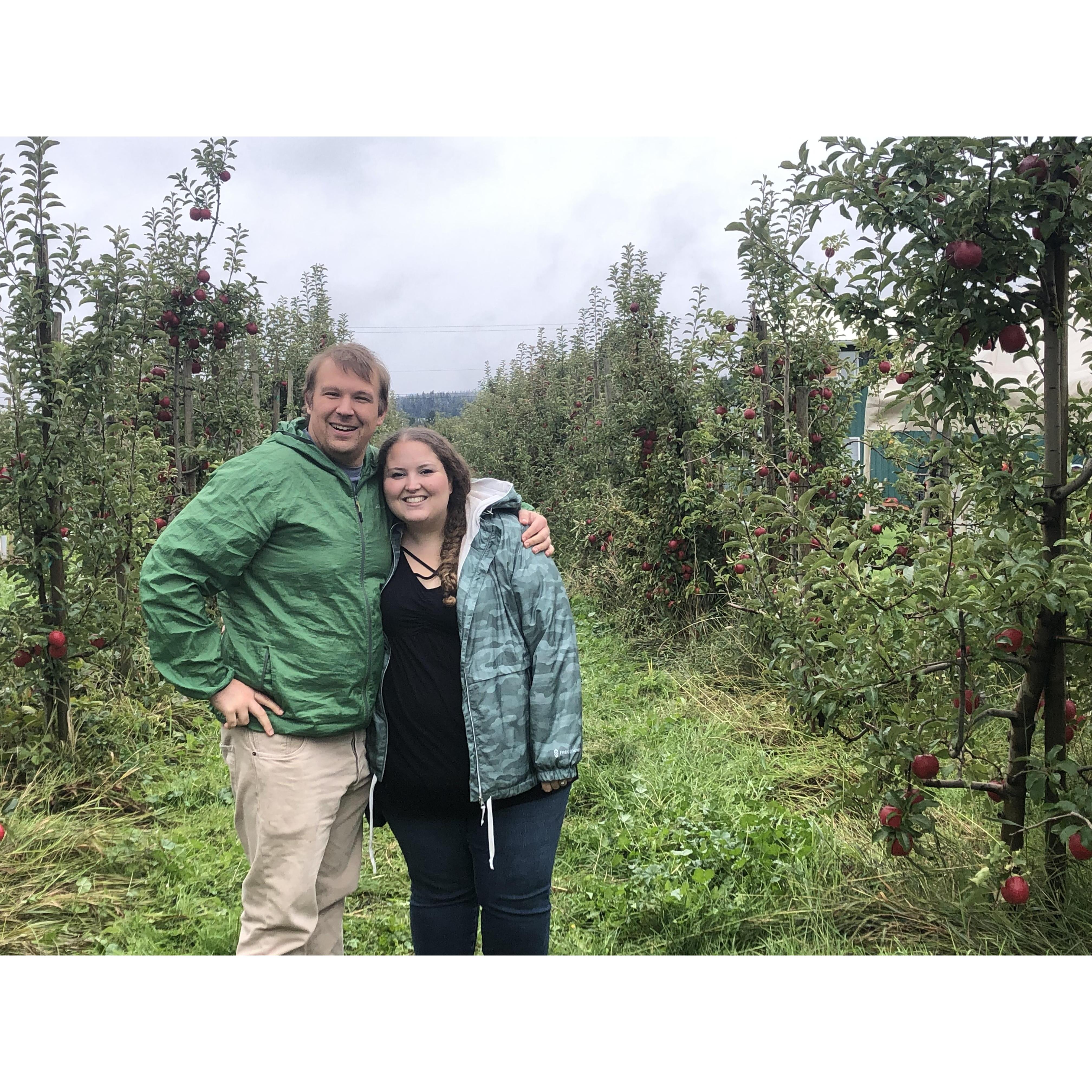 Apple Picking