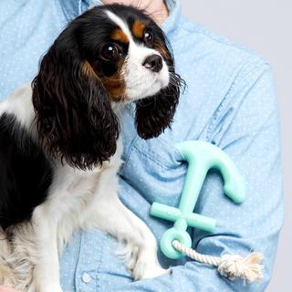 Anchors Aweigh Toy