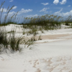 Beaches
