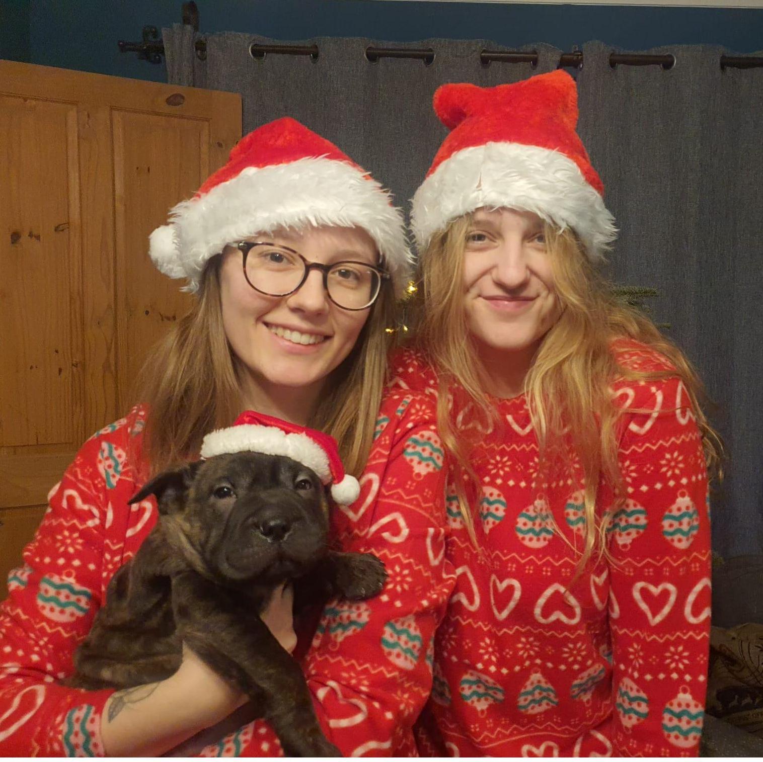 Macs first Christmas, December 2023