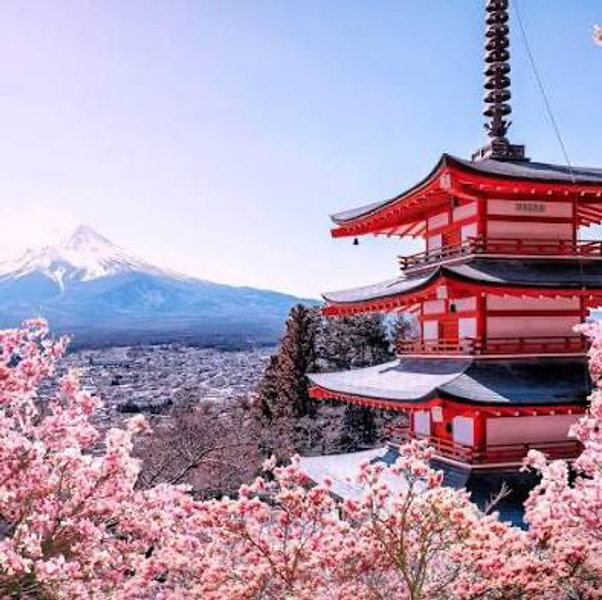 Honeymoon Fund to Japan
