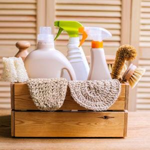 Cleaning Products (Keep the place squeaky clean)