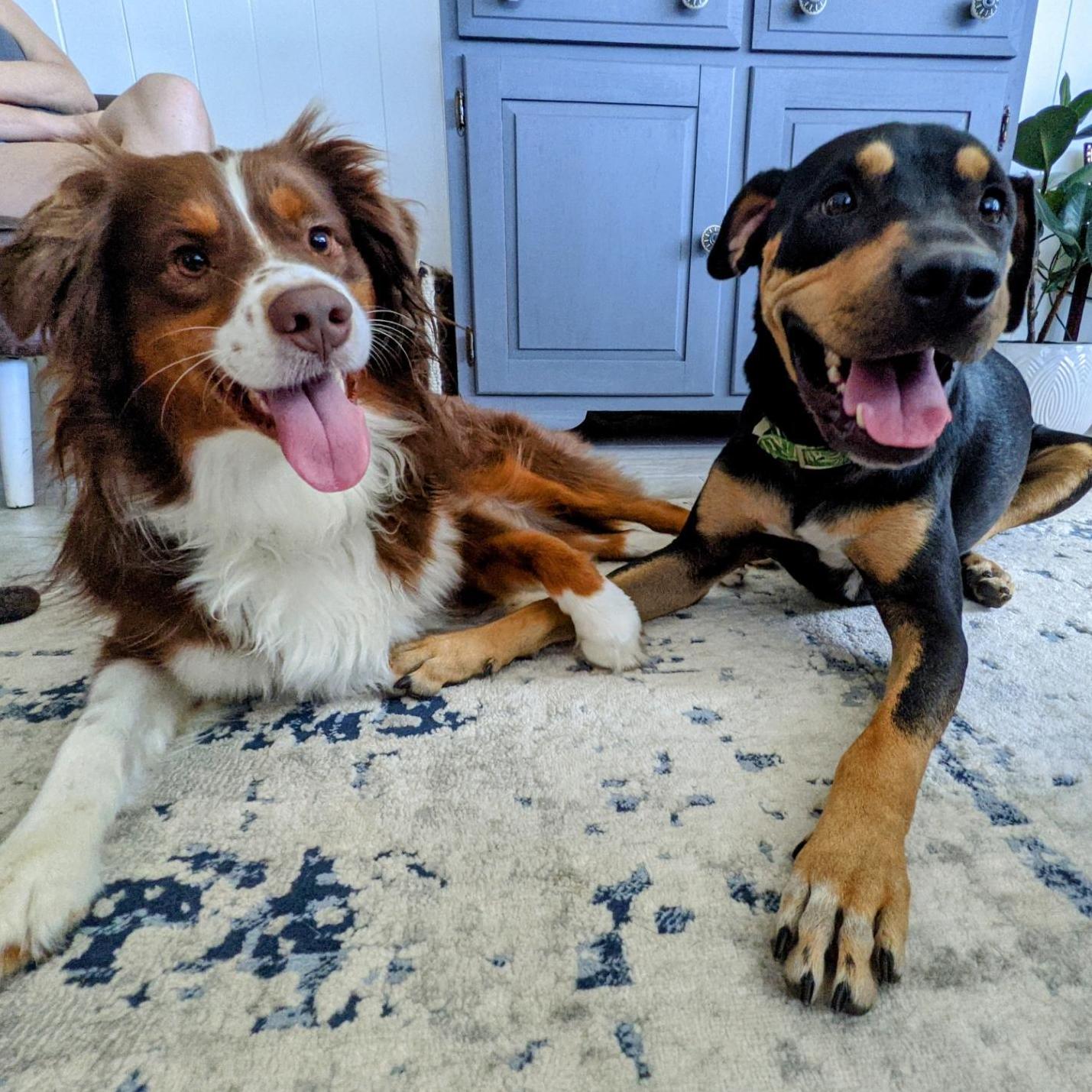 Best friends 💕