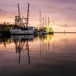 Shem Creek
