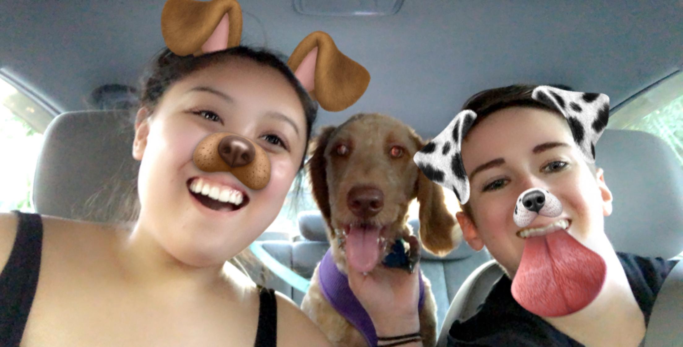 The Wedding Website of Caitlin Bisaillon and Brianna Kenney