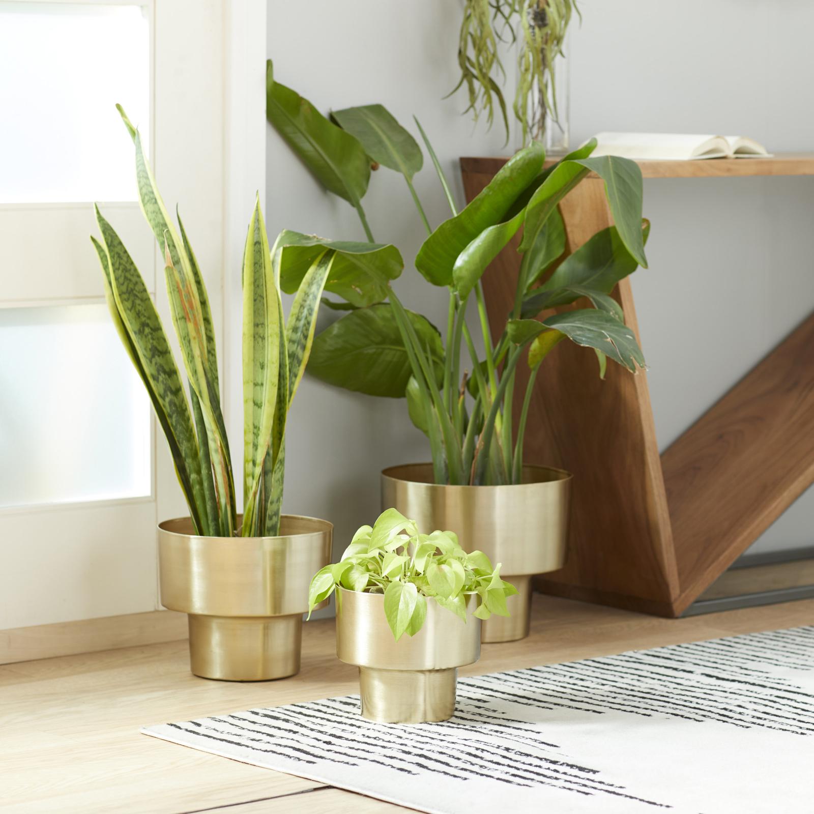 Tisbury Lane, 3-Piece Golden Glam Planter Set | Zola