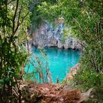 Swim in the Grotto at Tom Moore’s Jungle