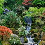Portland Japanese Garden