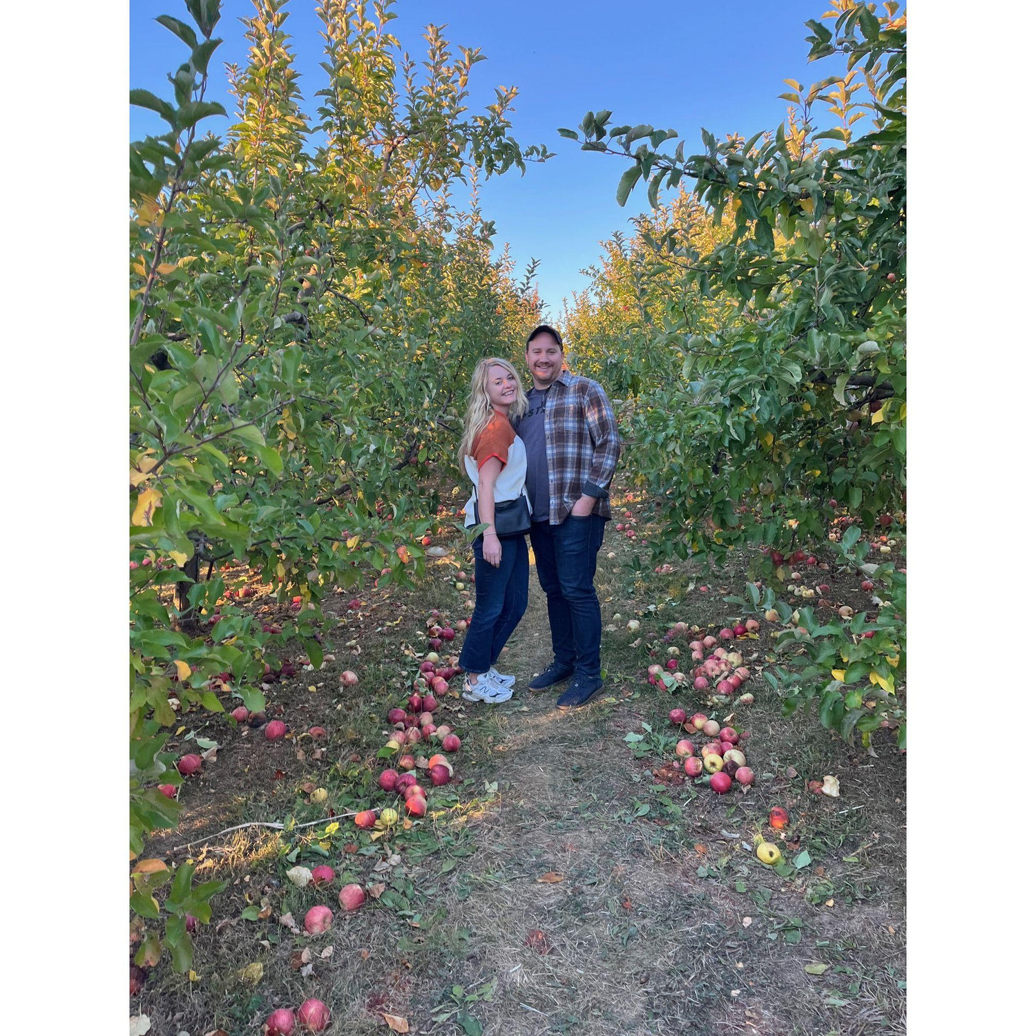 A little apple orchard photoshoot