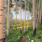 Berrypicker Trail