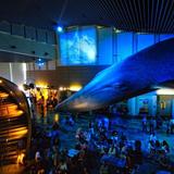 Aquarium of the Pacific