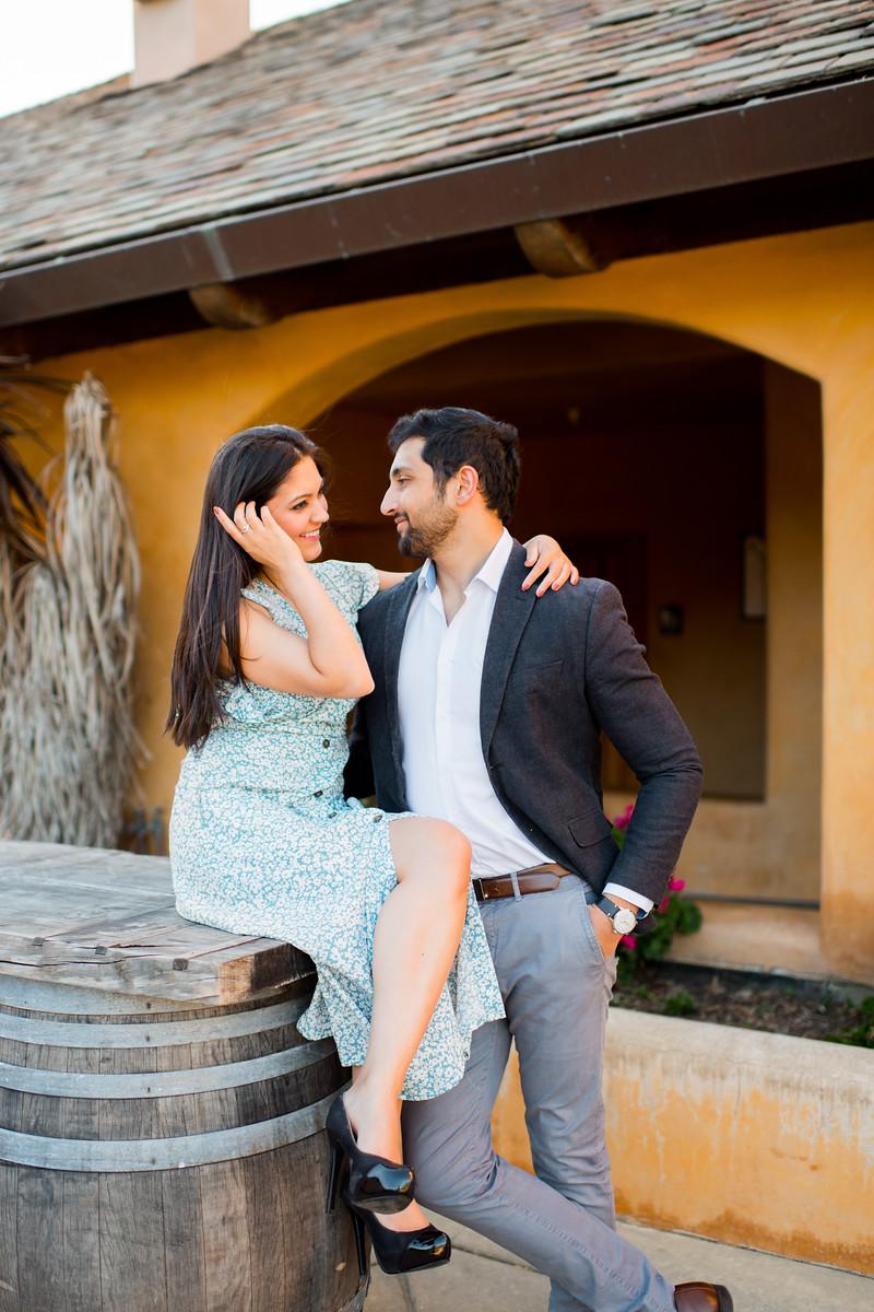 The Wedding Website of Dr. Natasha Gambhir and Dr. Sohail Kamrudin