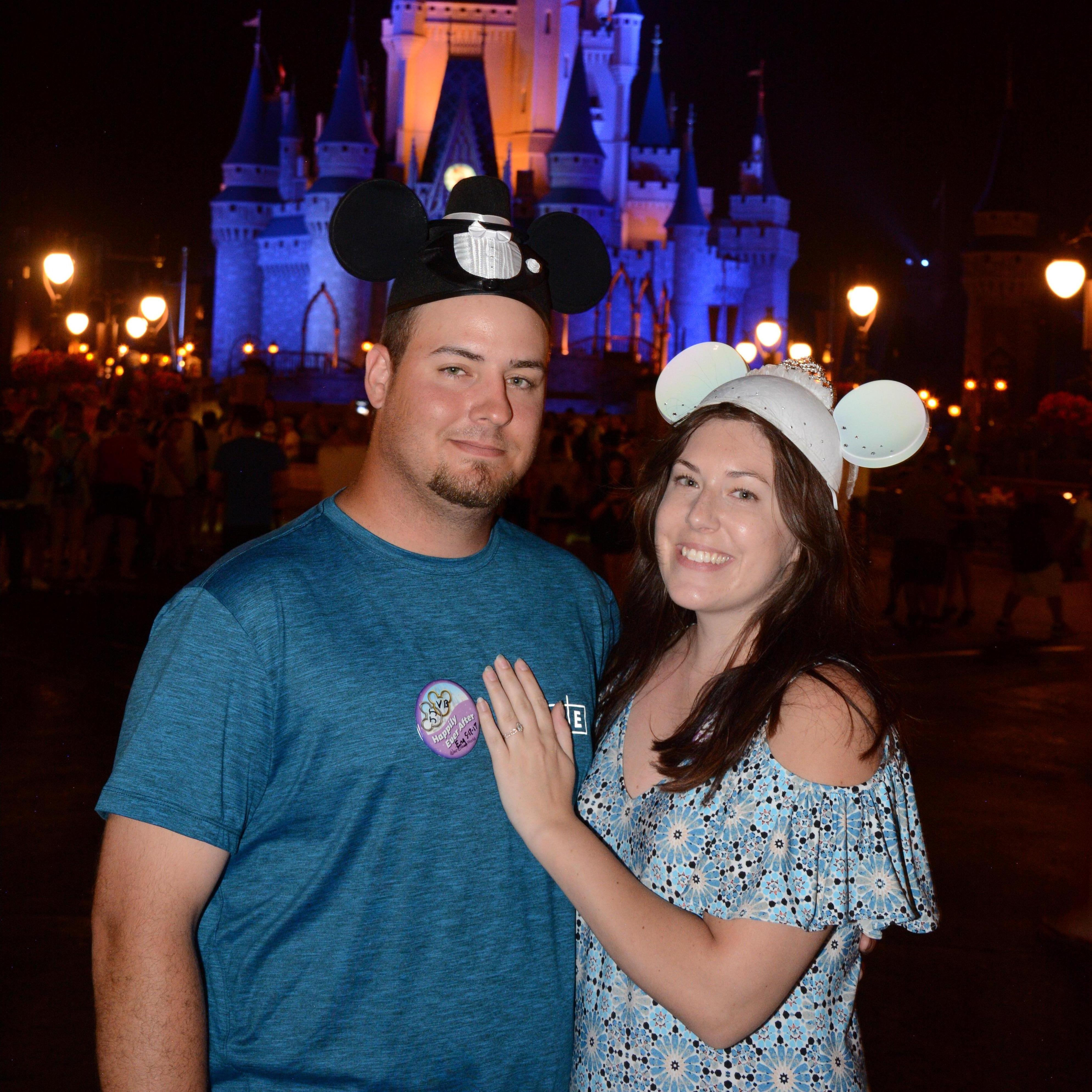 Disney World, the night of the proposal