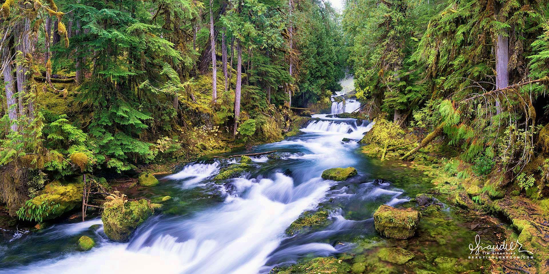 The Wedding Website of Kira Vinogradov and Garrett Kujawski