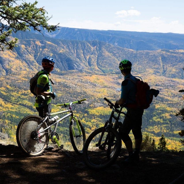 Mountain Bikes