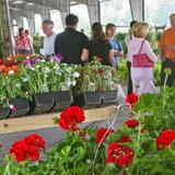 Charlotte Regional Farmers Market
