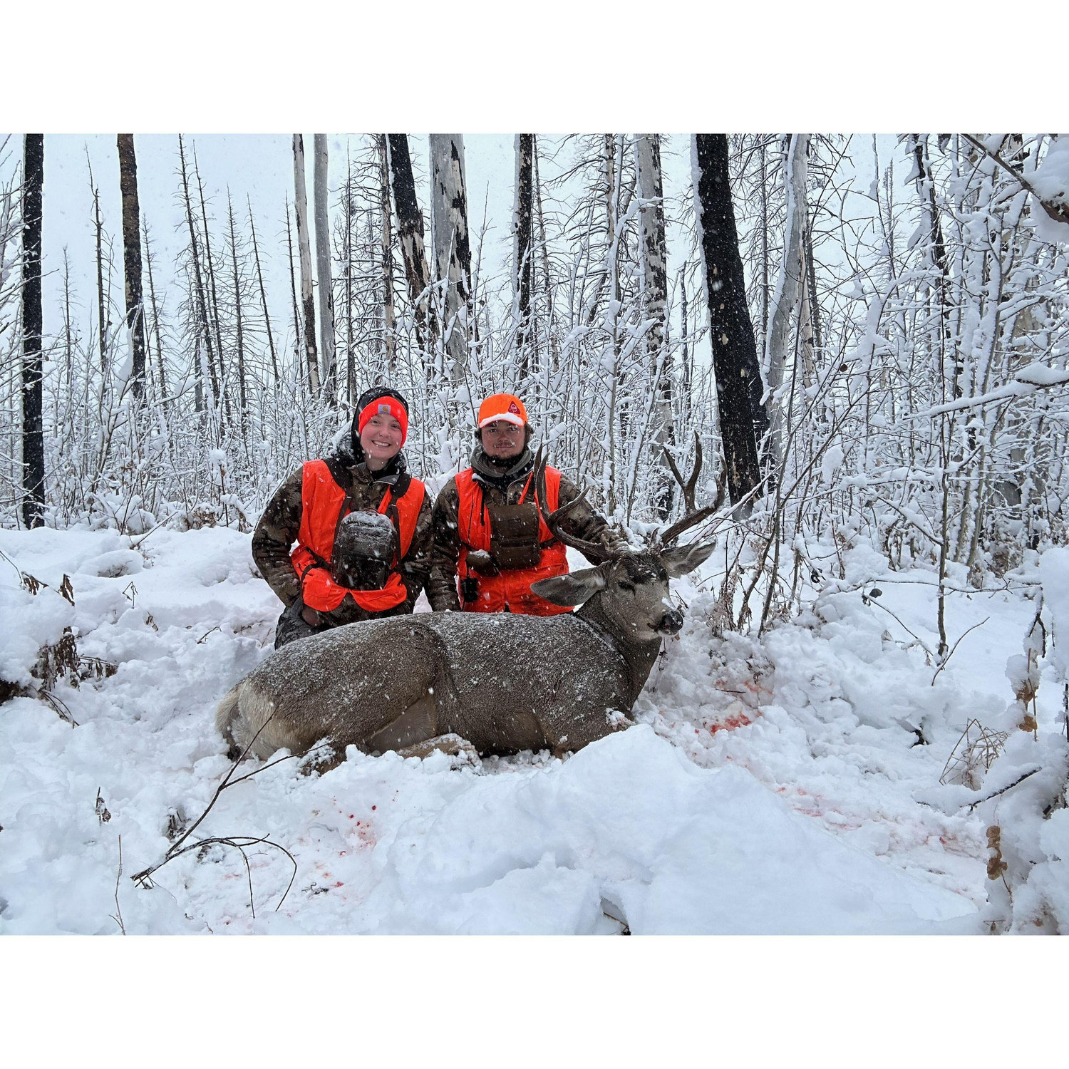 Jonahs mule deer hunt!