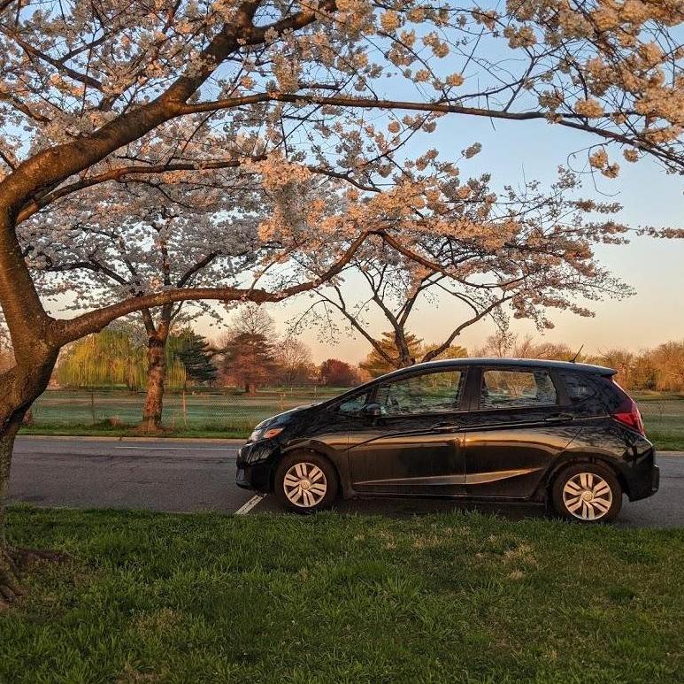 Mika's trusty car, Ursula (may she rest in peace), took them on road trips through more than two dozen states.
