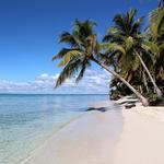 Saona Island