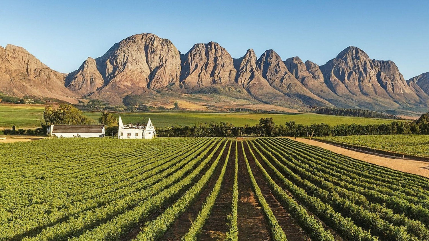 The Wedding Website of Chanté Jooste and Wernich Van Dyk