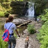 Silver Falls State Park